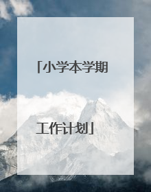 小学本学期工作计划