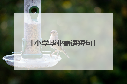 小学毕业寄语短句