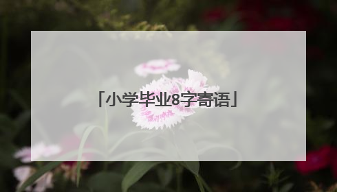 小学毕业8字寄语