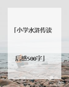 小学水浒传读后感500字