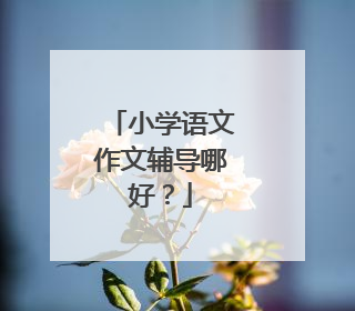 小学语文作文辅导哪好？