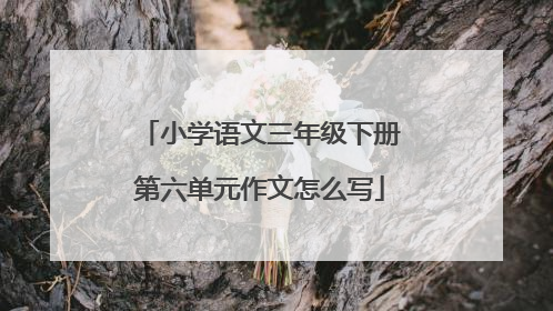 小学语文三年级下册第六单元作文怎么写