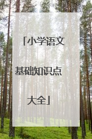小学语文基础知识点大全