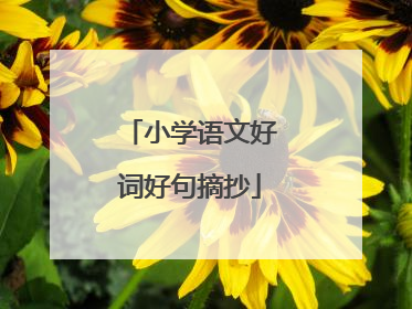 小学语文好词好句摘抄