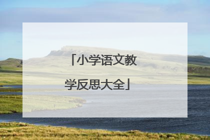 小学语文教学反思大全