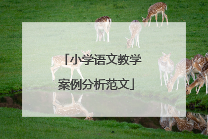 小学语文教学案例分析范文