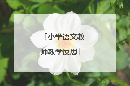 小学语文教师教学反思