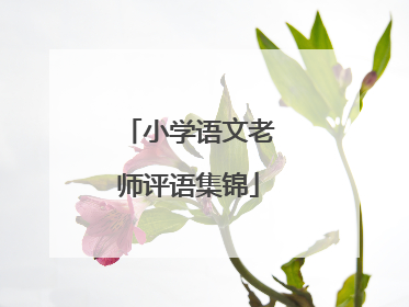 小学语文老师评语集锦