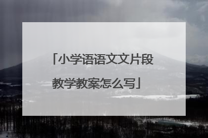 小学语语文文片段教学教案怎么写