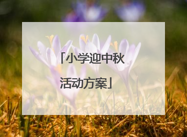 小学迎中秋活动方案