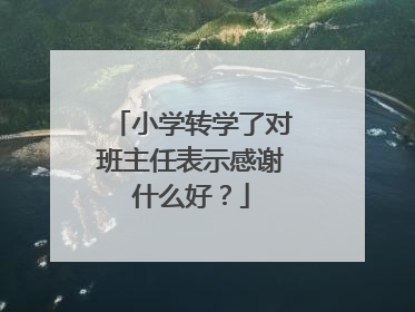 小学转学了对班主任表示感谢什么好?