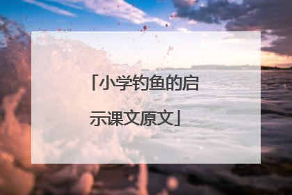 小学钓鱼的启示课文原文