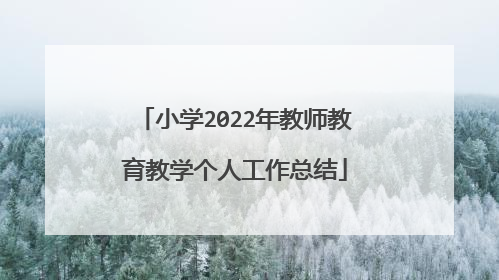 小学2022年教师教育教学个人工作总结