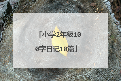 小学2年级100字日记10篇