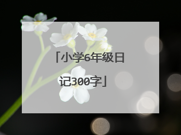小学6年级日记300字