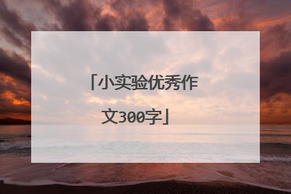 小实验优秀作文300字
