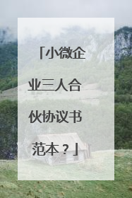 小微企业三人合伙协议书范本？