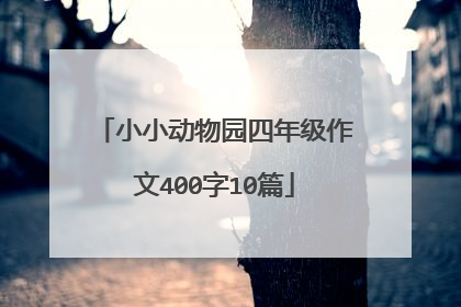 小小动物园四年级作文400字10篇