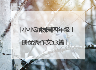 小小动物园四年级上册优秀作文13篇