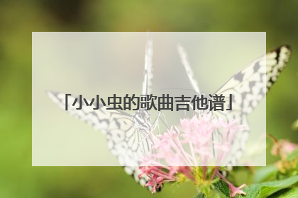 小小虫的歌曲吉他谱