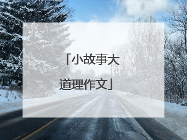 小故事大道理作文