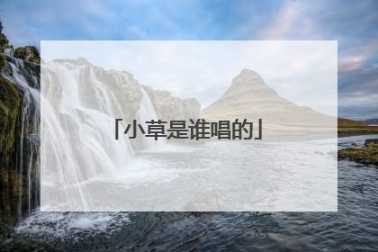 小草是谁唱的