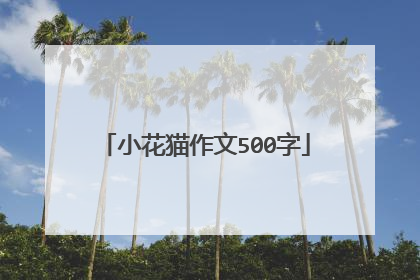 小花猫作文500字