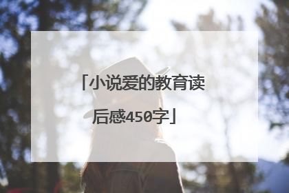 小说爱的教育读后感450字