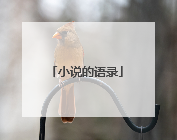 小说的语录