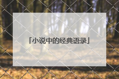 小说中的经典语录