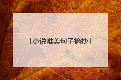 小说唯美句子摘抄