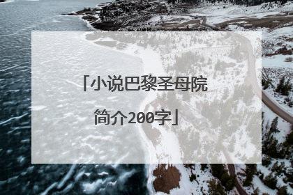 小说巴黎圣母院简介200字