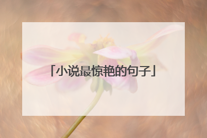 小说最惊艳的句子