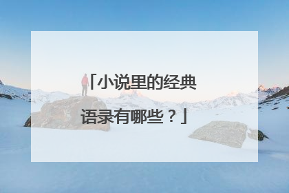 小说里的经典语录有哪些？