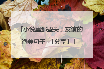 小说里那些关于友谊的绝美句子 【分享】