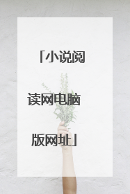 小说阅读网电脑版网址