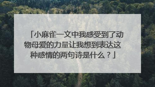 小麻雀一文中我感受到了动物母爱的力量让我想到表达这种感情的两句诗是什么？