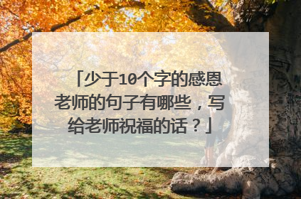 少于10个字的感恩老师的句子有哪些，写给老师祝福的话？
