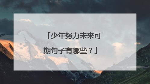 少年努力未来可期句子有哪些？