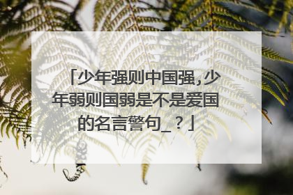 少年强则中国强,少年弱则国弱是不是爱国的名言警句_？