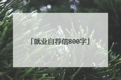 就业自荐信800字