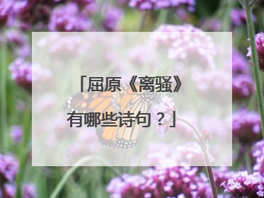 屈原《离骚》有哪些诗句？