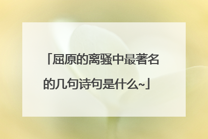 屈原的离骚中最著名的几句诗句是什么~