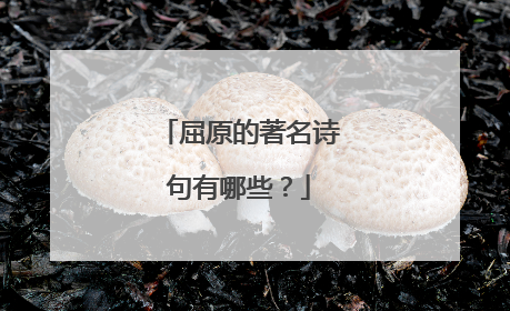 屈原的著名诗句有哪些?