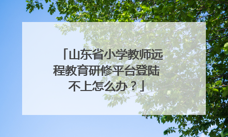 山东省小学教师远程教育研修平台登陆不上怎么办？