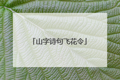 山字诗句飞花令
