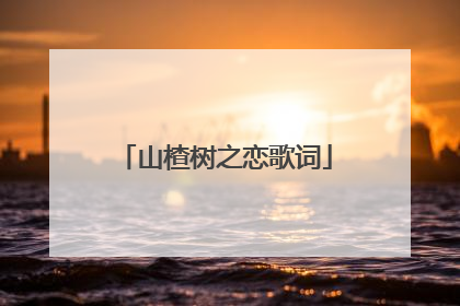 山楂树之恋歌词