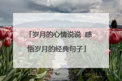 岁月的心情说说 感悟岁月的经典句子