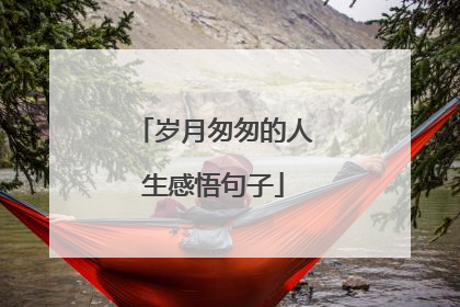 岁月匆匆的人生感悟句子