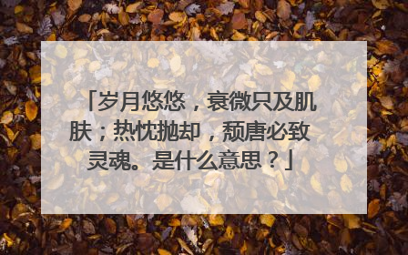 岁月悠悠，衰微只及肌肤；热忱抛却，颓唐必致灵魂。是什么意思？